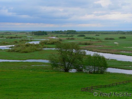 Polsko - Biebrzańský národní park 2  