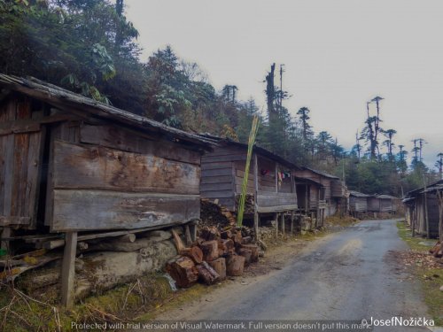 Indie - Ásám a Himaláje 18  