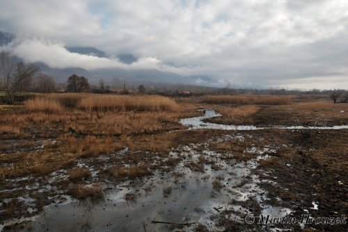 Řecko (Kerkini) + Makedonie 19  