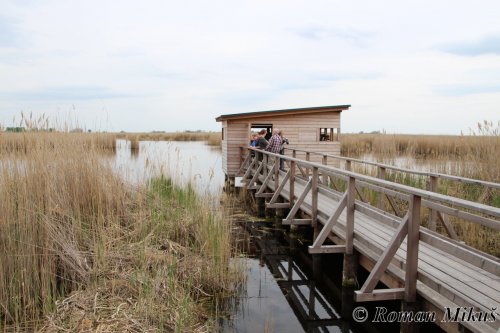 Neziderské jezero a Bird Experience 1  