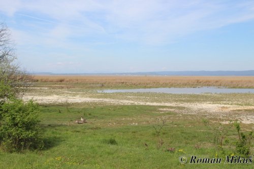 Neziderské jezero a Bird Experience 5  