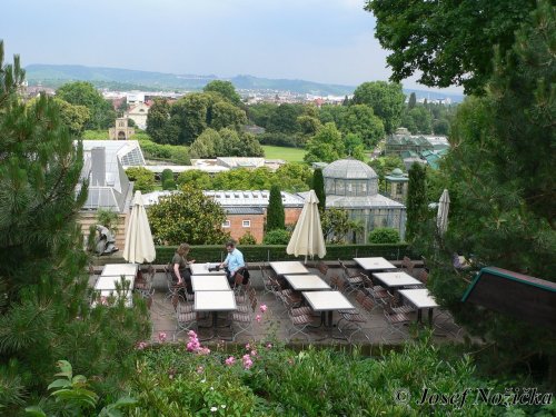 ZOO Stuttgart a ZOO Mnichov 13  