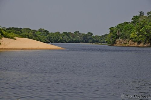 Brazílie - Pantanal + Cerado 34  