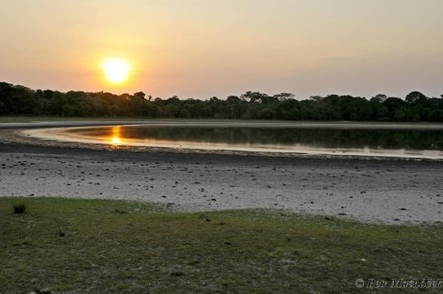 Brazílie - Pantanal + Cerado 7  