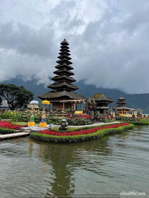 Bali Bird Congress - 13 dní 1  