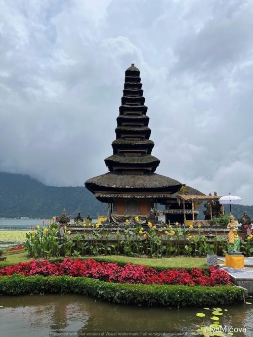 Bali Bird Congress - 9 dní 6  
