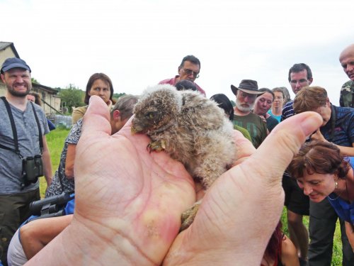 Ptačí park Střimická Výsypka 5  