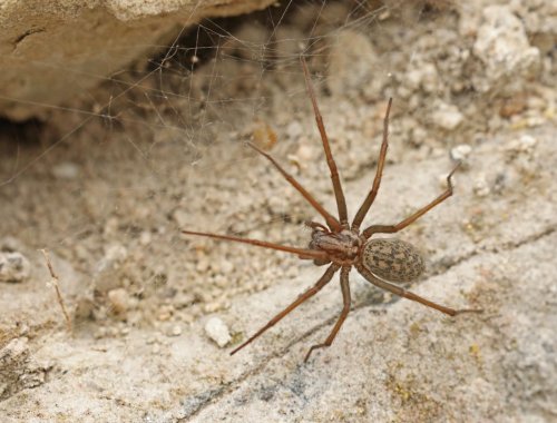 Ptačí park Střimická Výsypka 14  