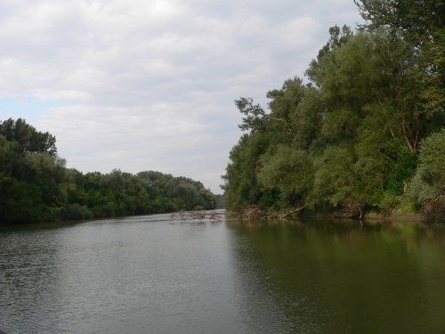 Slovensko - Senné, Medzibodroží, Tokaj 18  