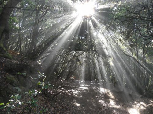 Kanárské ostrovy: Tenerife a La Gomera 18  