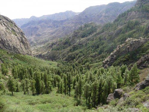 Kanárské ostrovy: Tenerife a La Gomera 19  