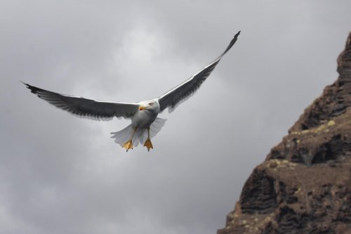 Kanárské ostrovy: Tenerife a La Gomera 14  