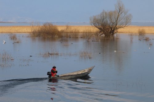 Černá hora 11  